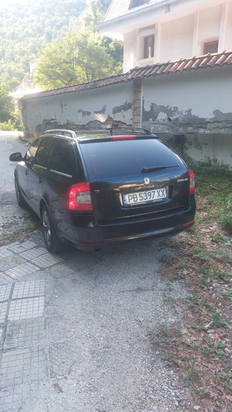 Skoda Octavia, снимка 3 - Автомобили и джипове - 47587684