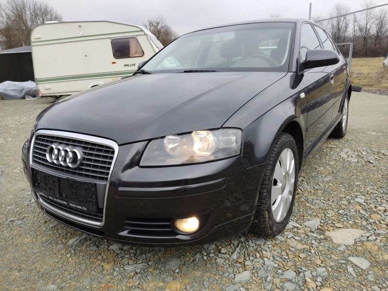 Audi A3 1.9 TDI, 5 врати, снимка 1 - Автомобили и джипове - 48464728