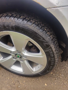 Skoda Octavia - 4000 € / 7823.32 лв. - 80286867 5