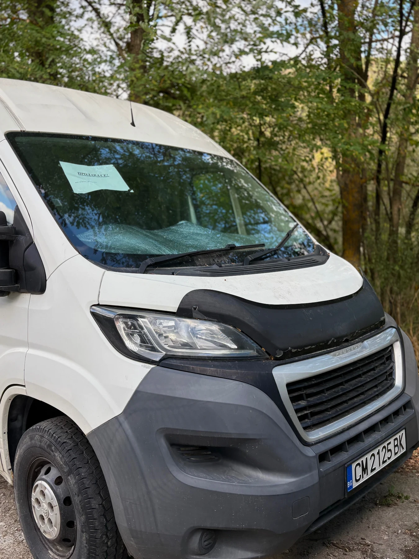 Peugeot Boxer, снимка 3 - Бусове и автобуси - 56330342