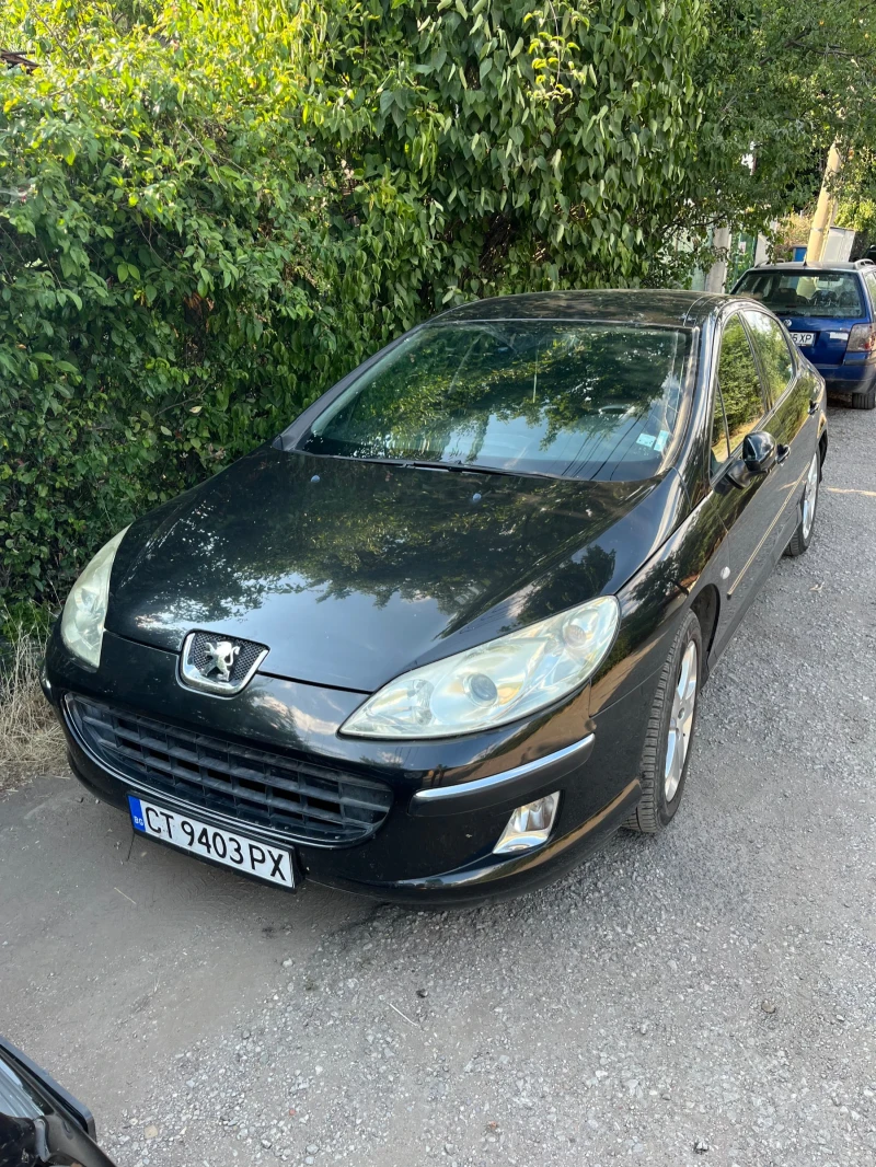 Peugeot 407 2.0 , снимка 2 - Автомобили и джипове - 50996078