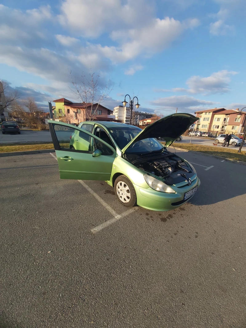 Peugeot 307, снимка 3 - Автомобили и джипове - 53404588