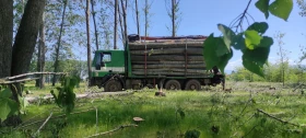 Iveco Trakker | Mobile.bg    5