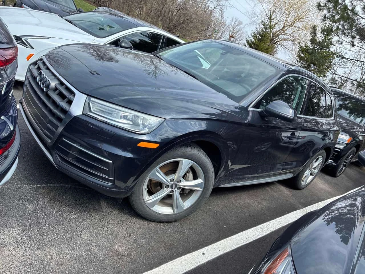 Audi Q5 Progressiv /CAMERA/ПОДГРЕВИ, снимка 2 - Автомобили и джипове - 54384686