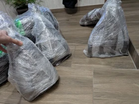 Kawasaki Z Z1000SX, снимка 3