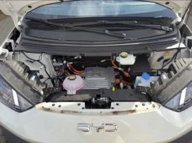 BYD Dolphin Surf Active, снимка 12