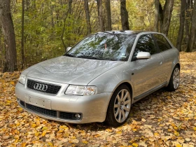 Audi S3 1.8 * 209 * газ * , снимка 1