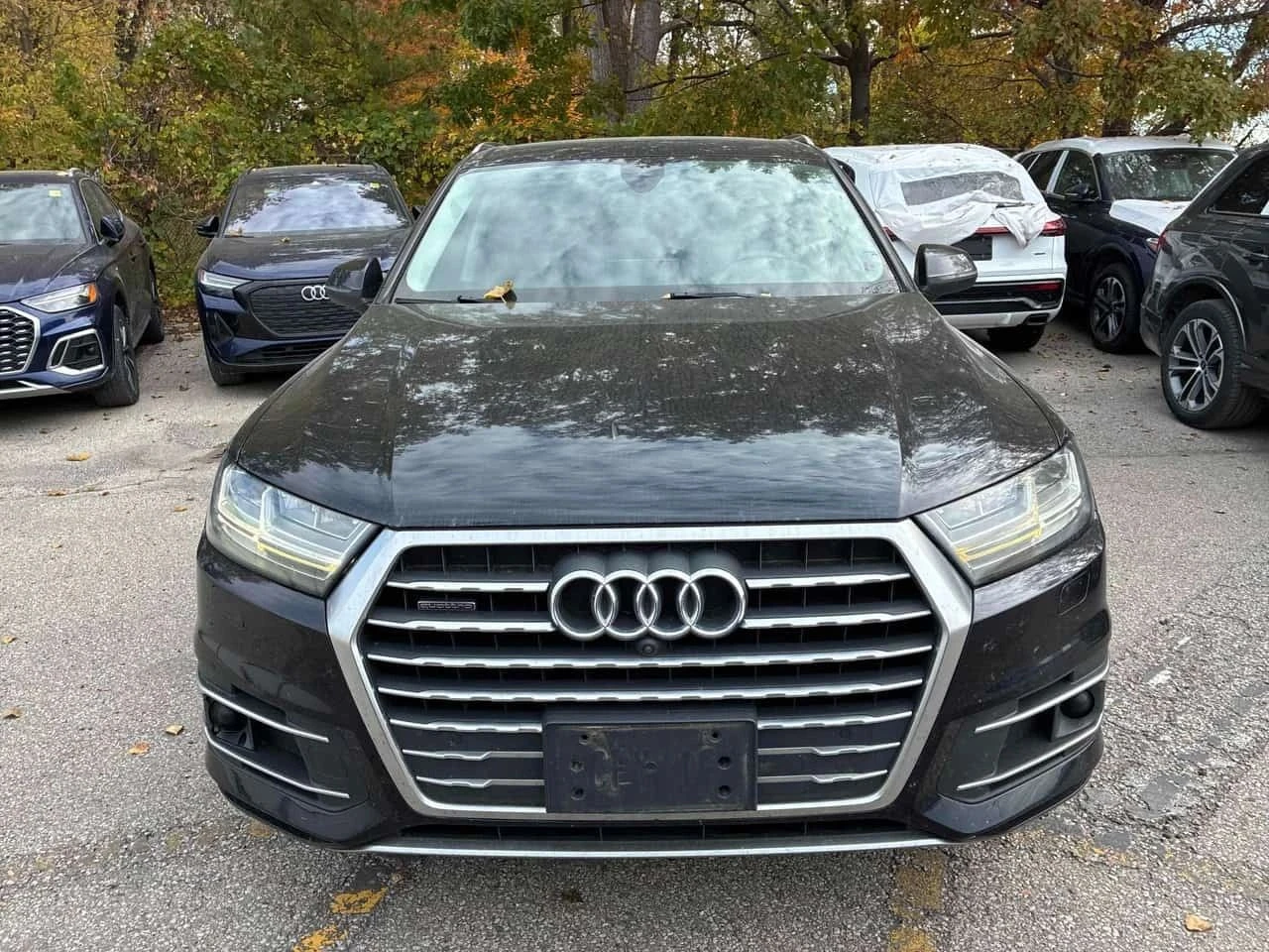 Audi Q7, снимка 5 - Автомобили и джипове - 56729046