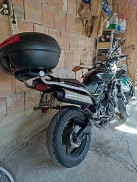 Honda Hornet 600, снимка 14
