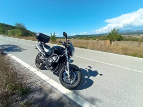 ������ Honda Hornet