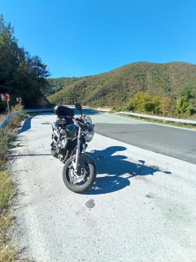 Honda Hornet 600 | Mobile.bg � ����� ������ 2