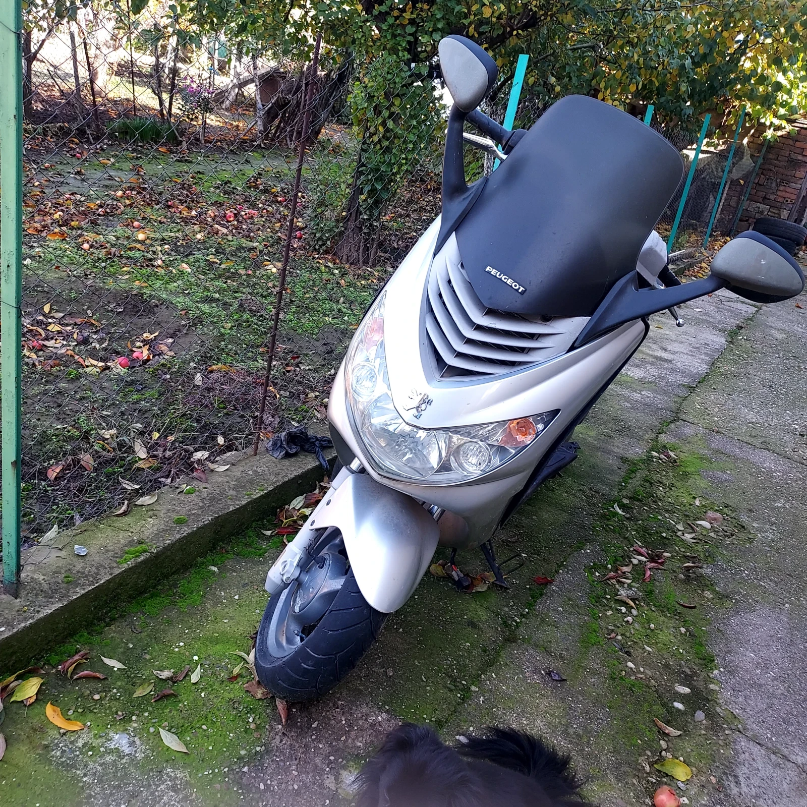 Peugeot Elystar, снимка 1