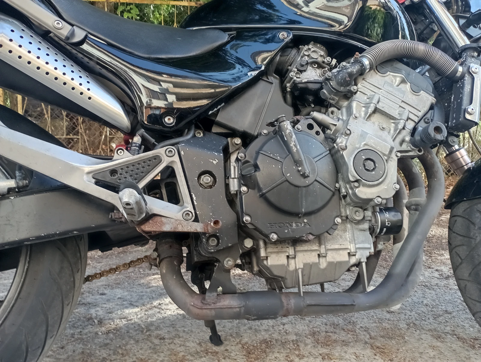 Honda Hornet 600 | Mobile.bg � ����������� 12