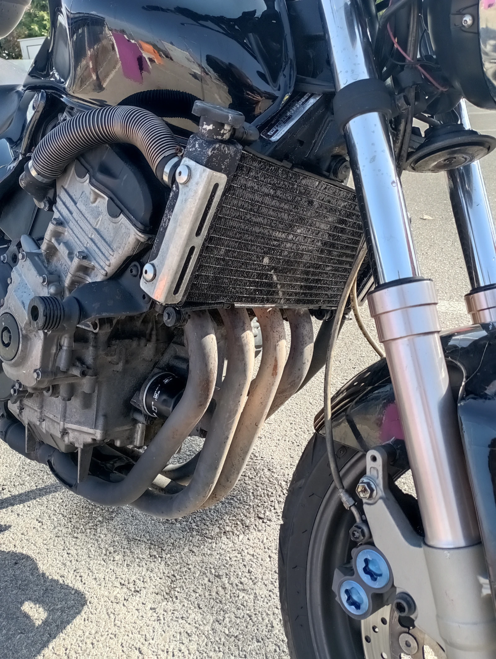 Honda Hornet 600 | Mobile.bg � ����������� 8