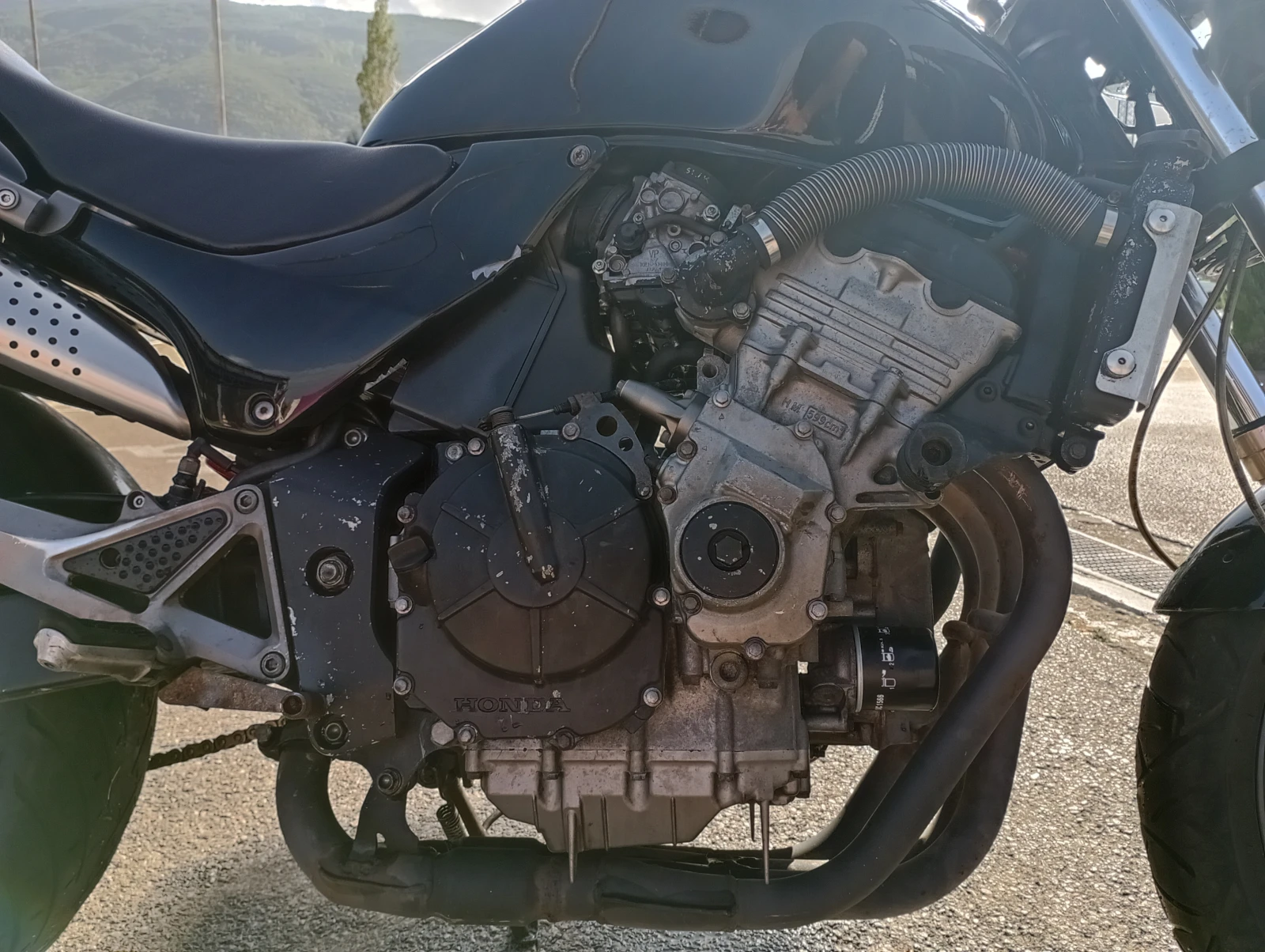 Honda Hornet 600 | Mobile.bg � ����������� 7