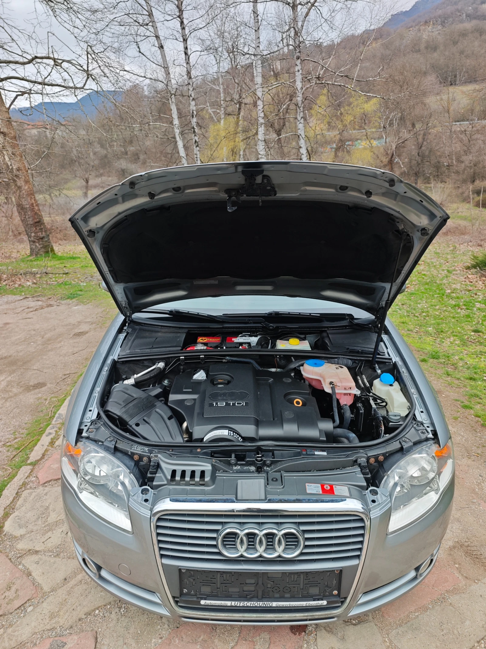 Audi A4 1.9ТДИ Н.ВНОС, снимка 11 - Автомобили и джипове - 54068792