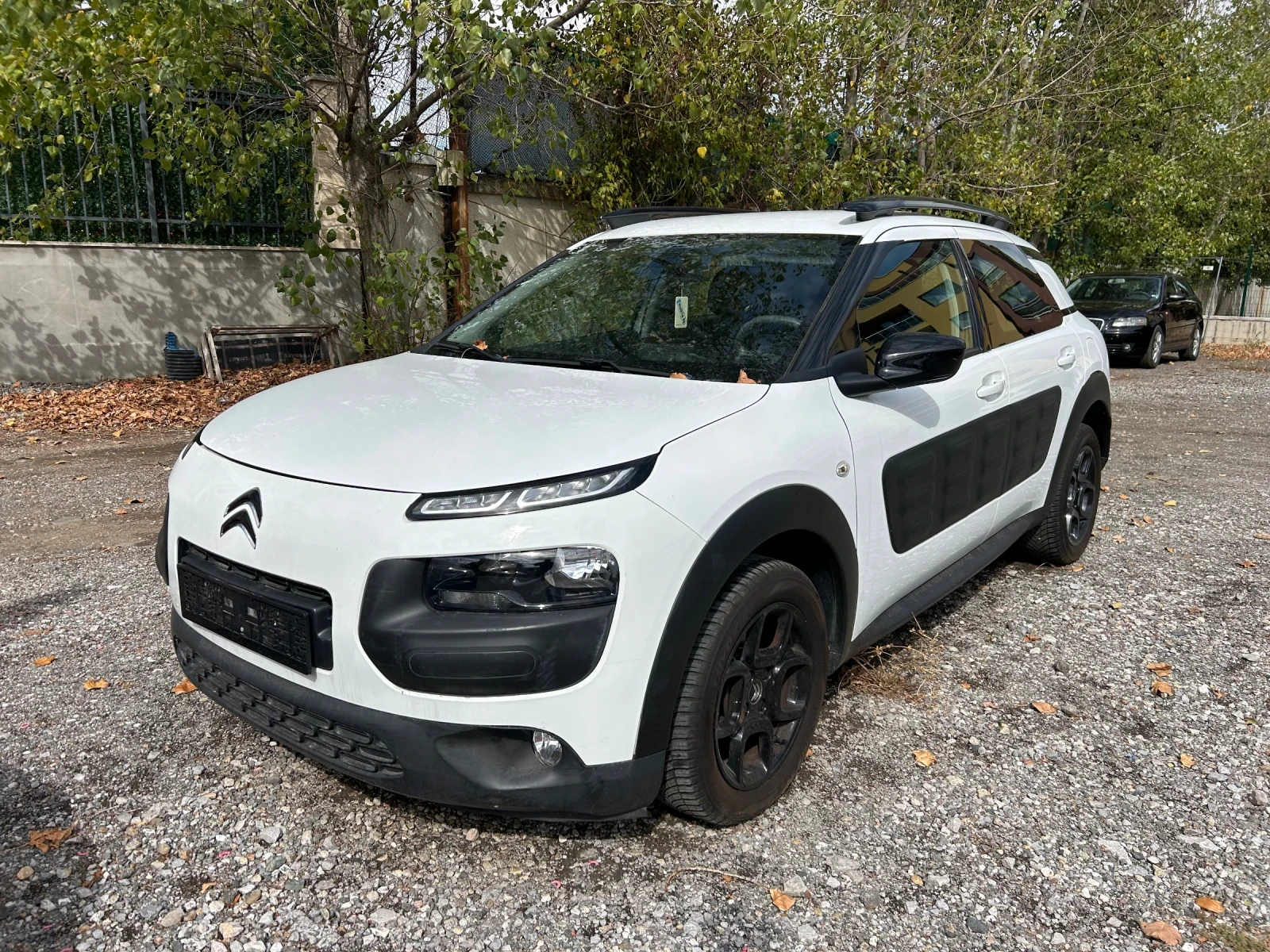 Citroen C4 Cactus 1.2I, снимка 1