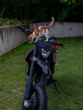 KSR 125 | Mobile.bg � ����� ������ 16