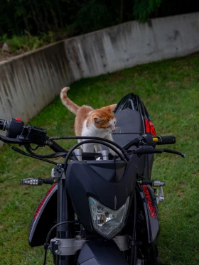 KSR 125 | Mobile.bg � ����� ������ 15