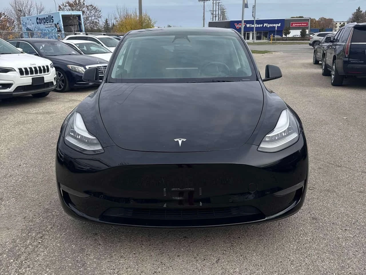 Tesla Model Y Long Range  CARFAX, снимка 6 - Автомобили и джипове - 56477793