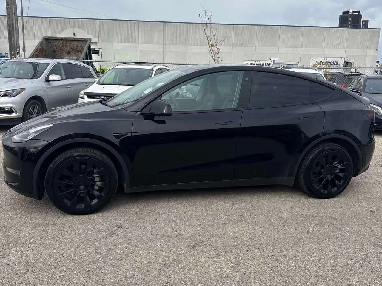 Tesla Model Y Long Range  CARFAX, снимка 2 - Автомобили и джипове - 56477793