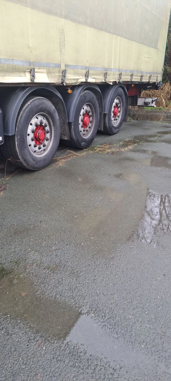 Полуремарке Schwarzmuller тунел за ролони, снимка 10 - Ремаркета - 53273222