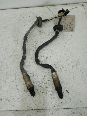 ����� �� �������� �� ������ ����� �������� ����� ���� 1.3� (����� ����� � �����)