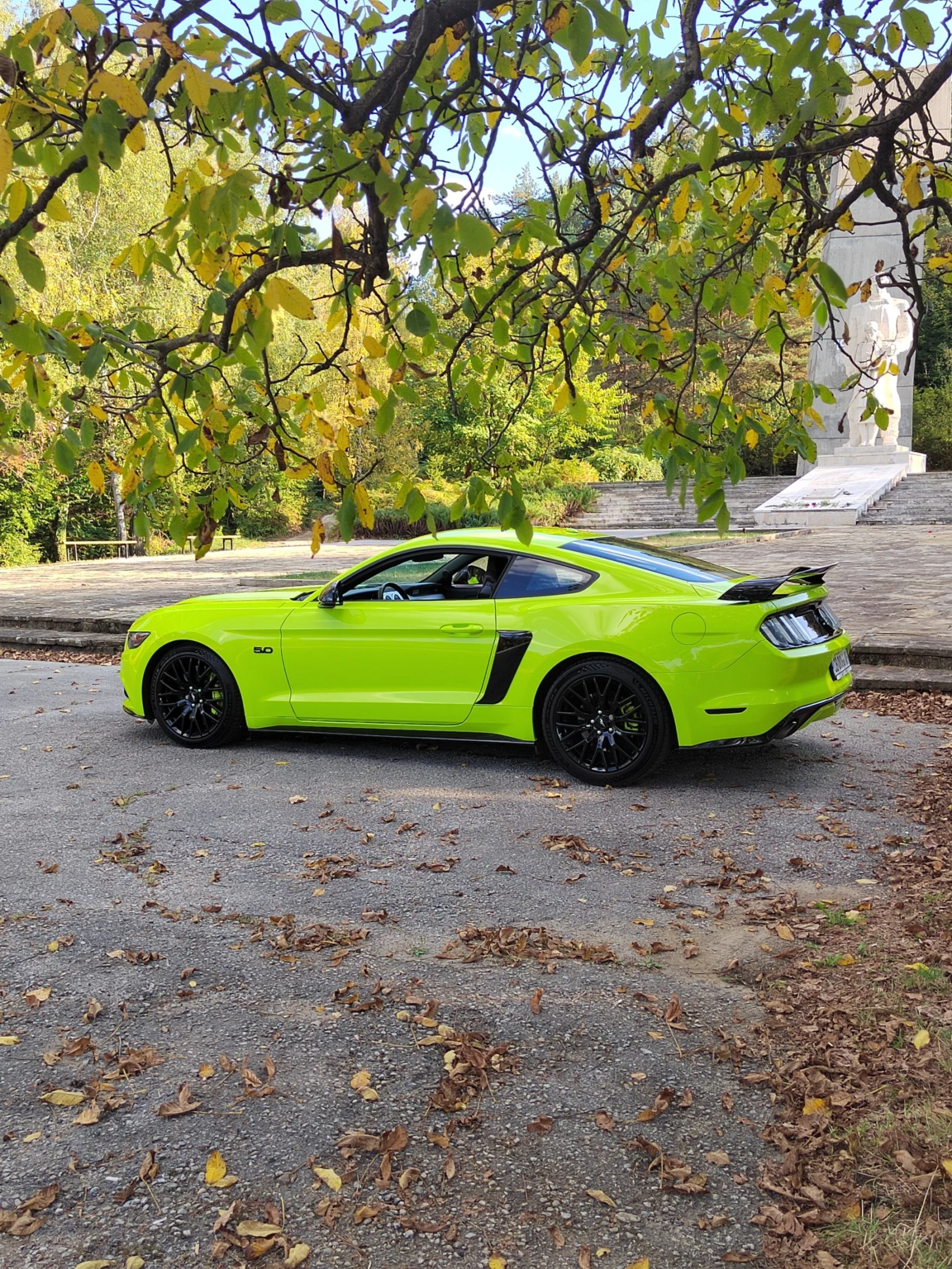 Ford Mustang EU 5.0 418HP - изображение 6