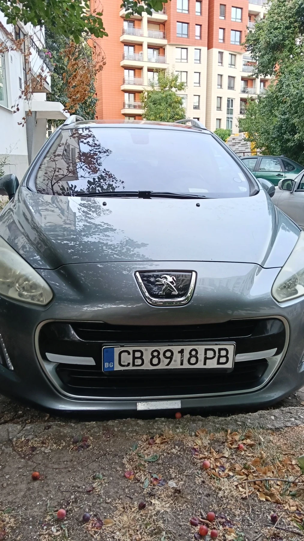 Peugeot 308 308