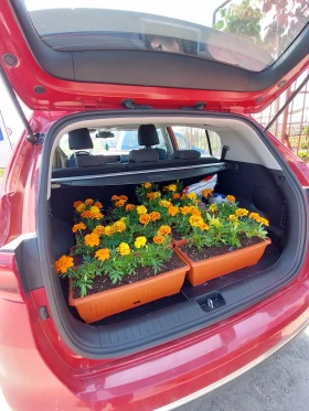 Kia Sportage - 17500 € / 34227.03 лв. - 77814641 4