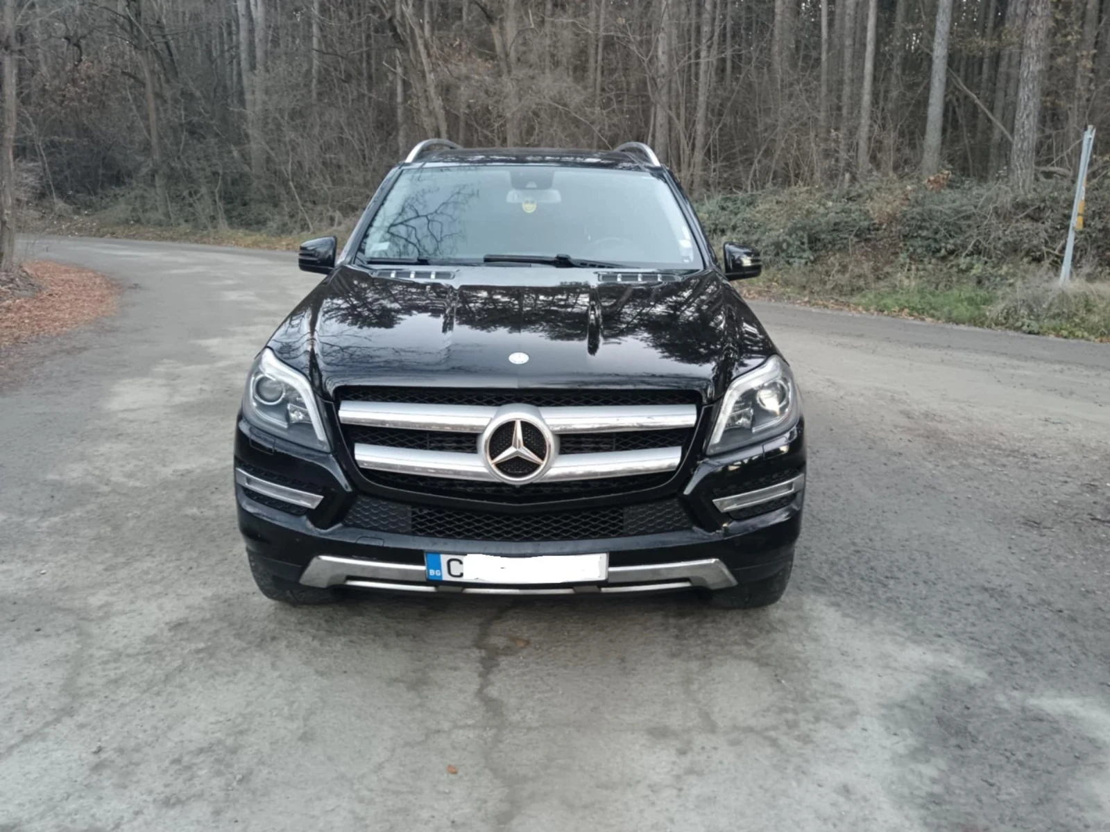 Mercedes-Benz GL 350 350 BLUETEC  - изображение 2