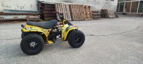     Suzuki KingQuad LT50