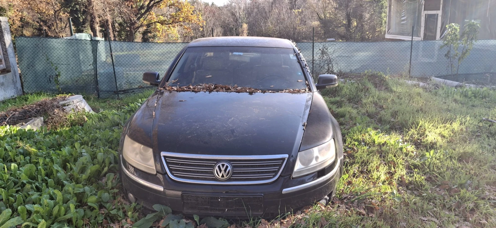 VW Phaeton  - изображение 2