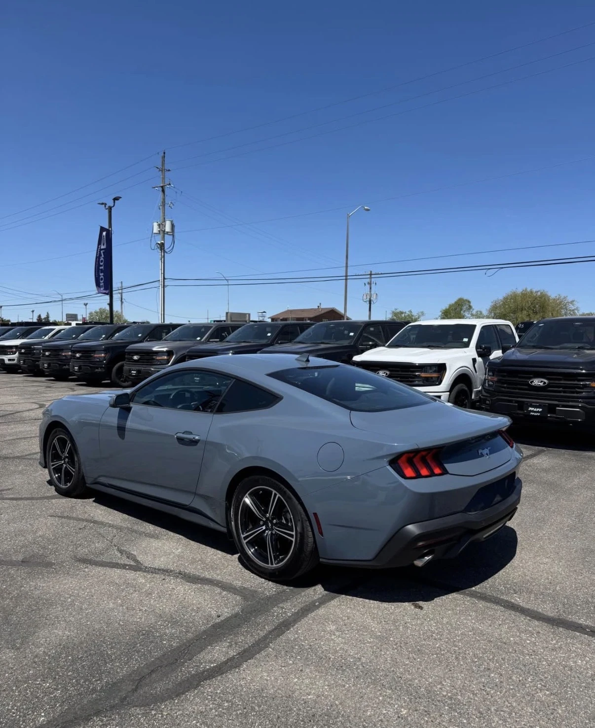 Ford Mustang ECOBOOST * АВТОМАТИК * REMOTE START * 4000KM * , снимка 5 - Автомобили и джипове - 55836702