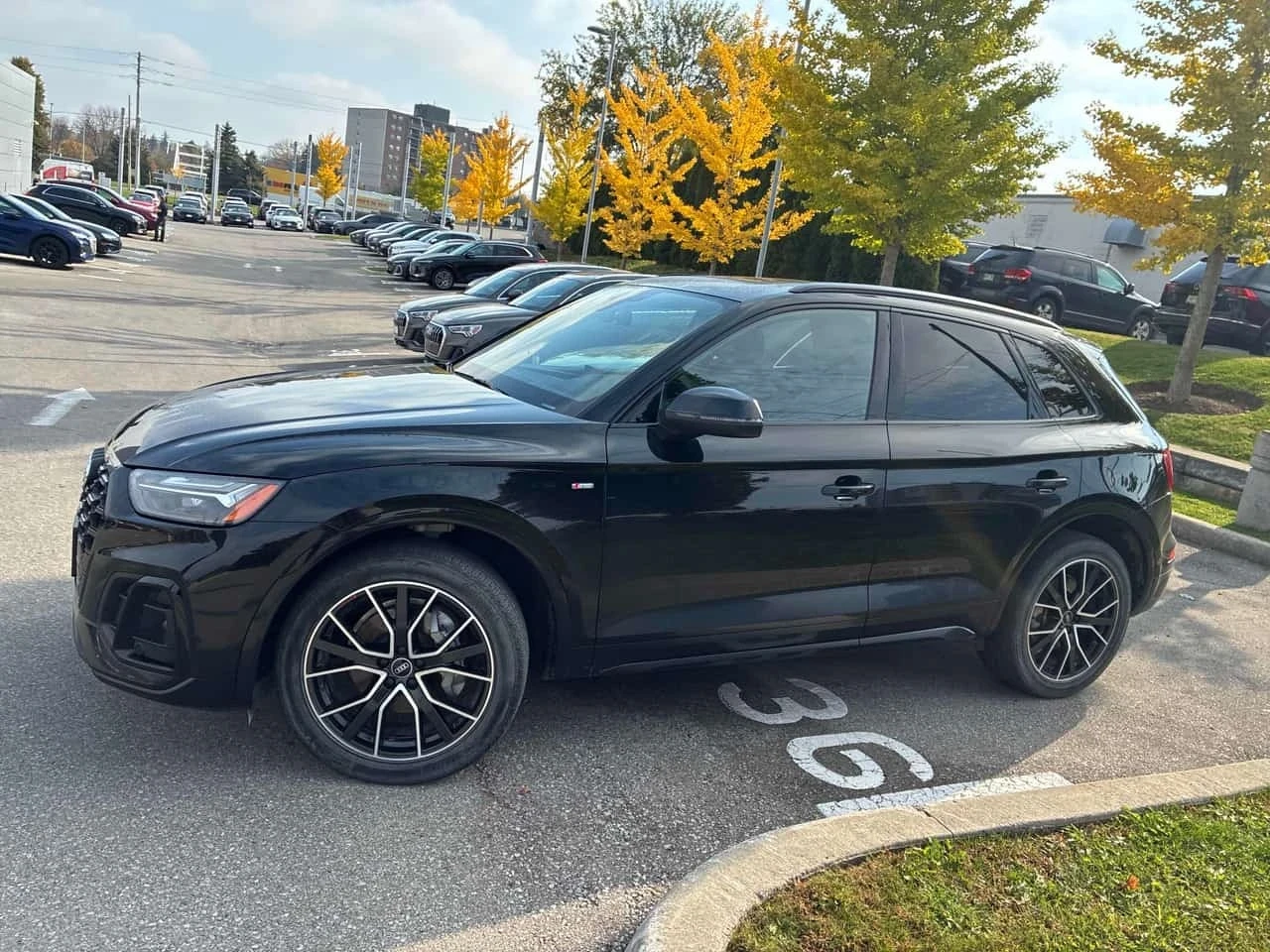Audi Q5 TECHNIK AWD SHADOW LINE * KРАЙНА ЦЕНА* , снимка 4 - Автомобили и джипове - 56666390