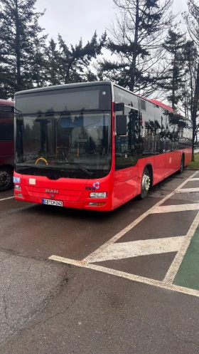 ������ Man Lion S Classic