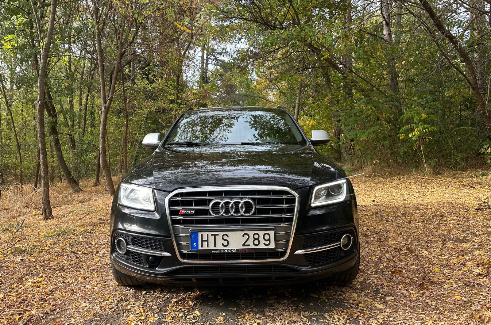 Audi SQ5 V6bitdi-313 - изображение 1