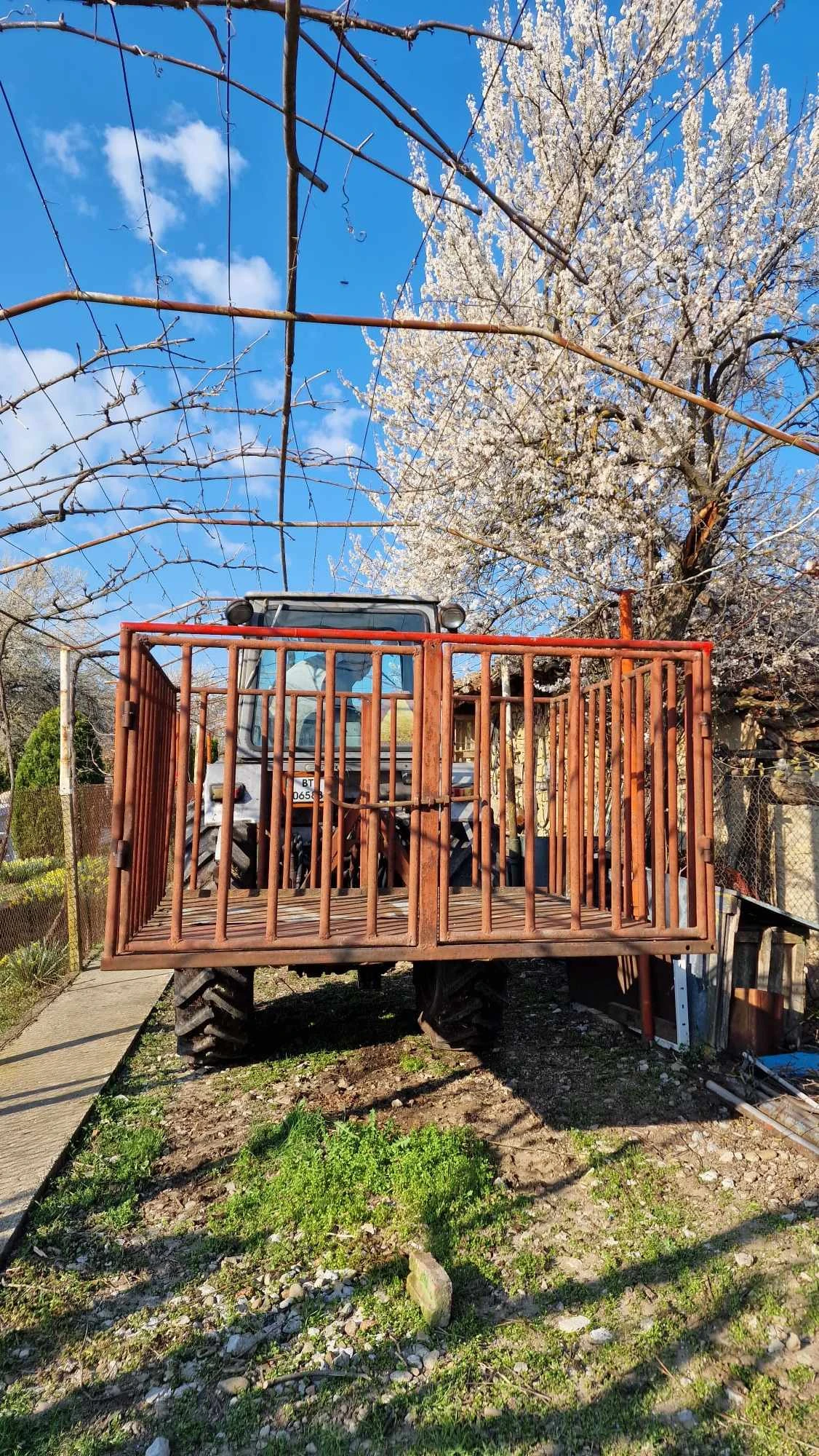 Друг вид Български Навесна клетка - изображение 5