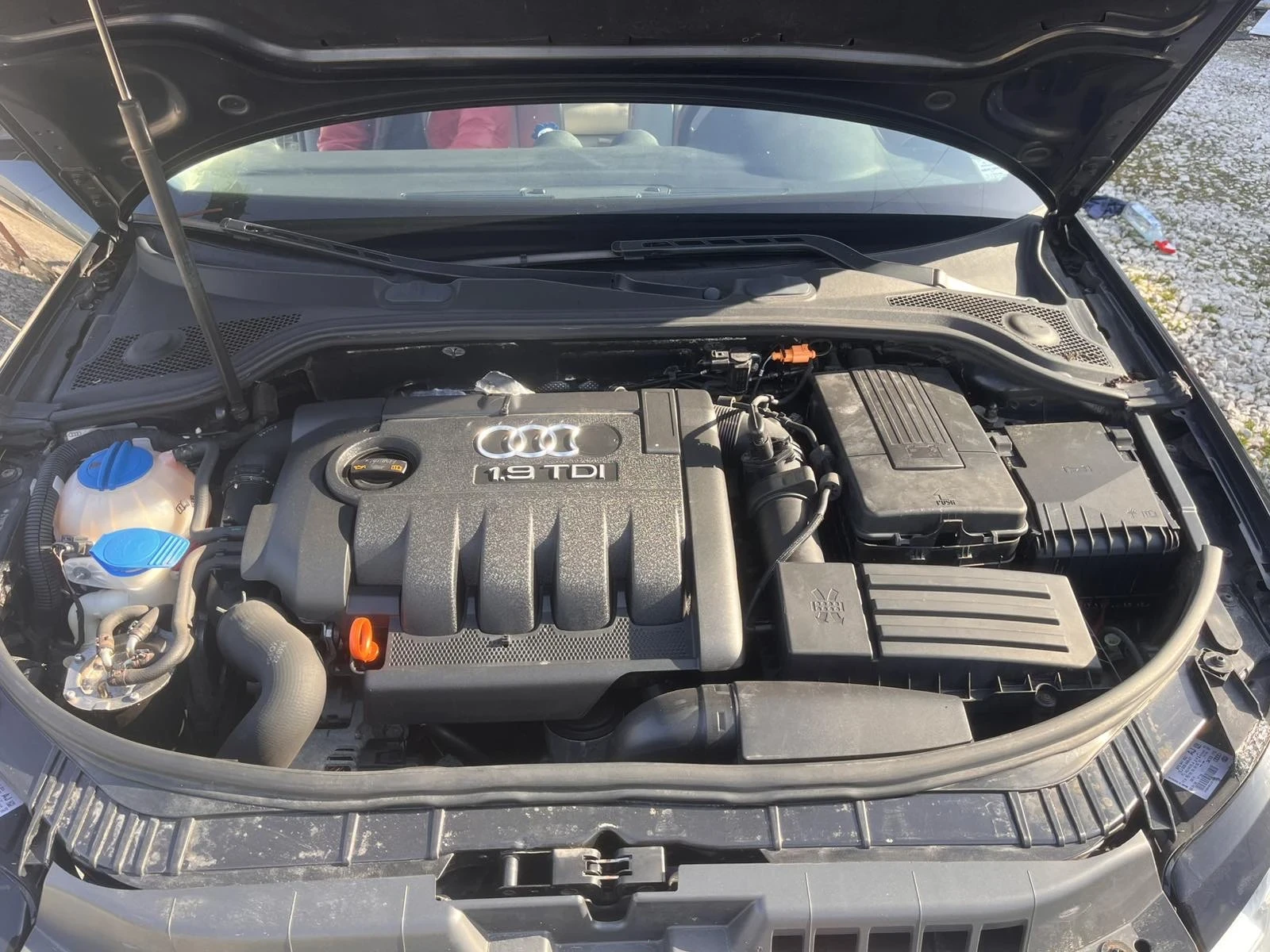 Audi A3 1.9TDI , снимка 17 - Автомобили и джипове - 53875178