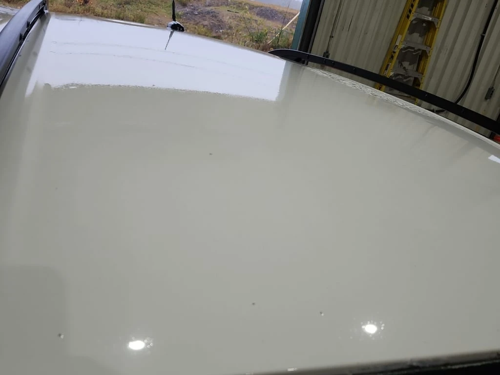 Ford Escape * SE * CARFAX *    | Mobile.bg   16