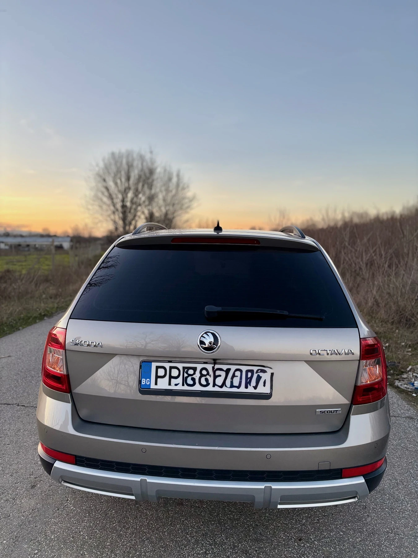 Skoda Octavia Skoda Octavia Scout 4x4   ����� ���������� | Mobile.bg � ����������� 4