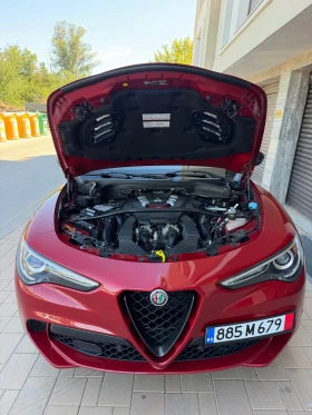 Alfa Romeo Stelvio Quadrifoglio 2.9 V6 Bi-Turbo 510 к.с. Q4 AWD, снимка 16