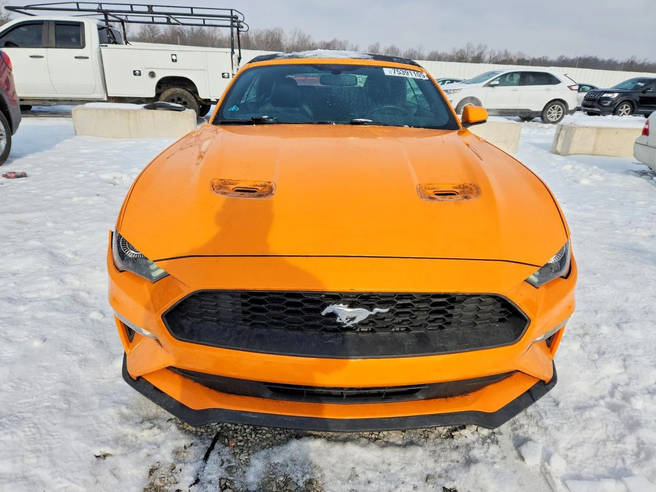 Ford Mustang 2.3l | Mobile.bg � ����������� 5