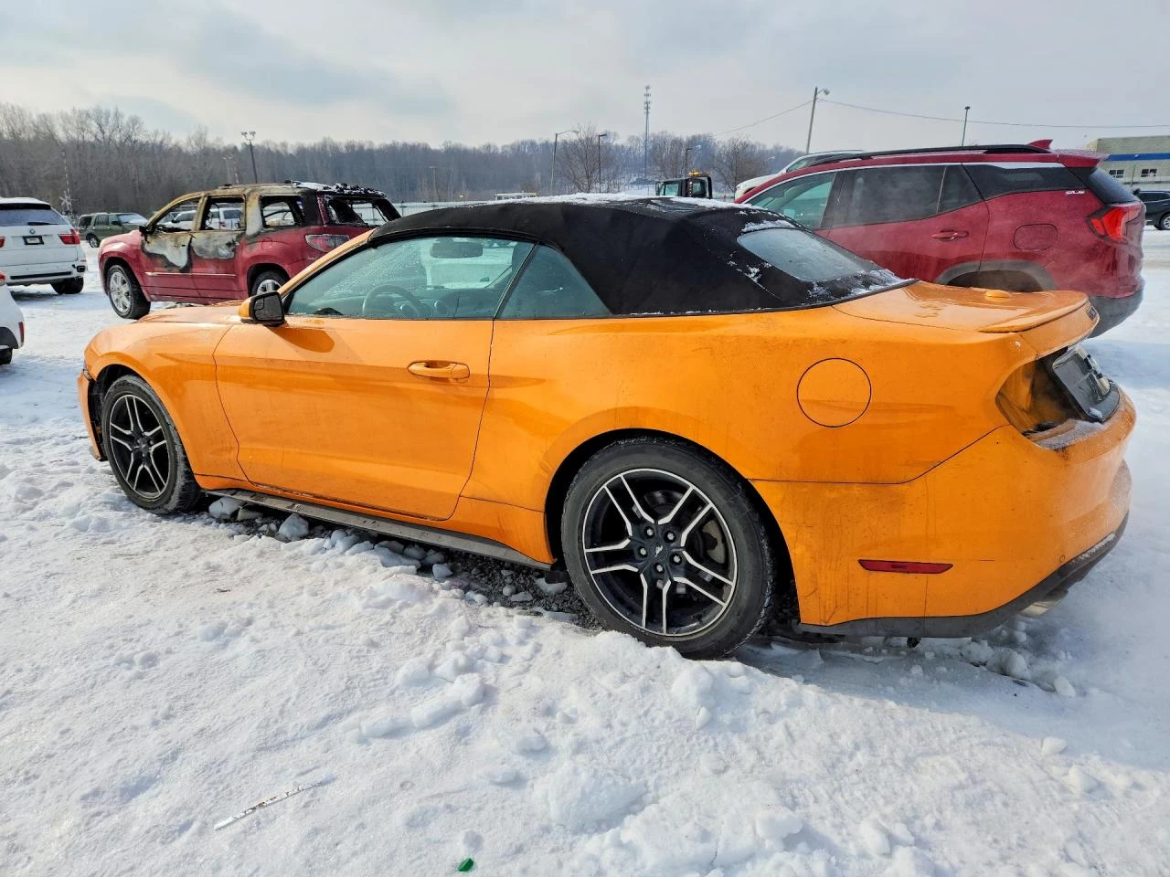 Ford Mustang 2.3l | Mobile.bg � ����������� 2