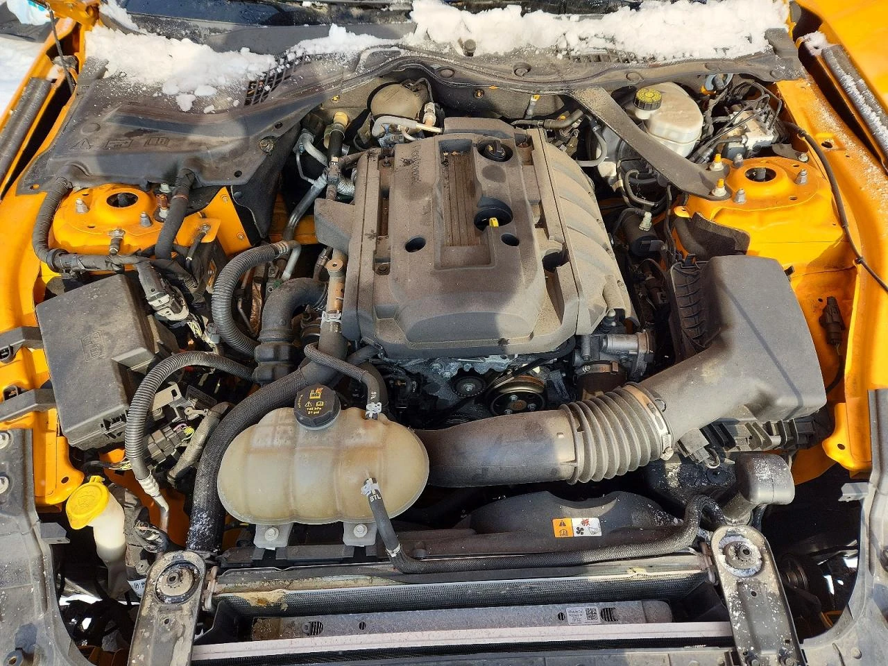 Ford Mustang 2.3l | Mobile.bg � ����������� 11