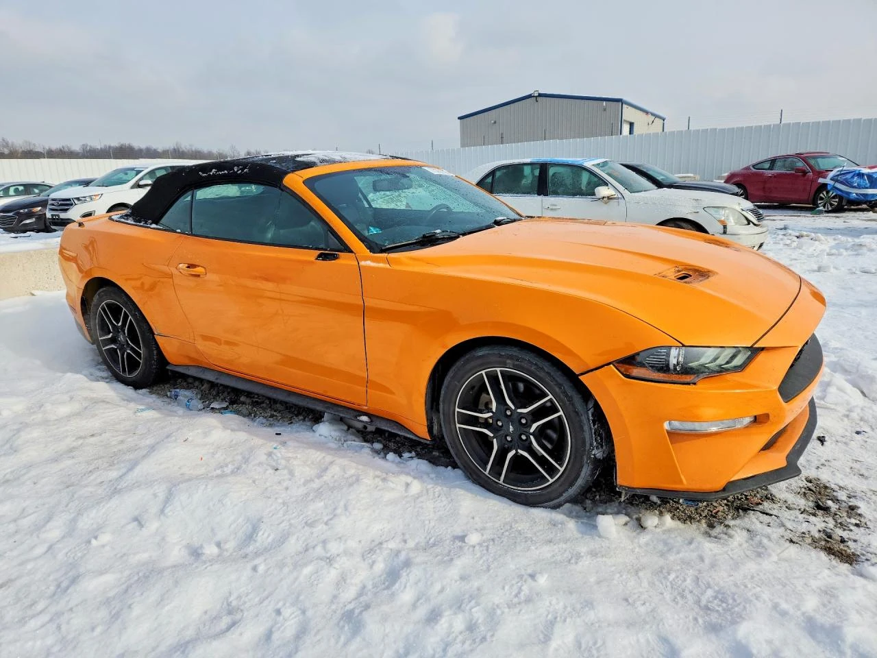 Ford Mustang 2.3l | Mobile.bg � ����������� 4