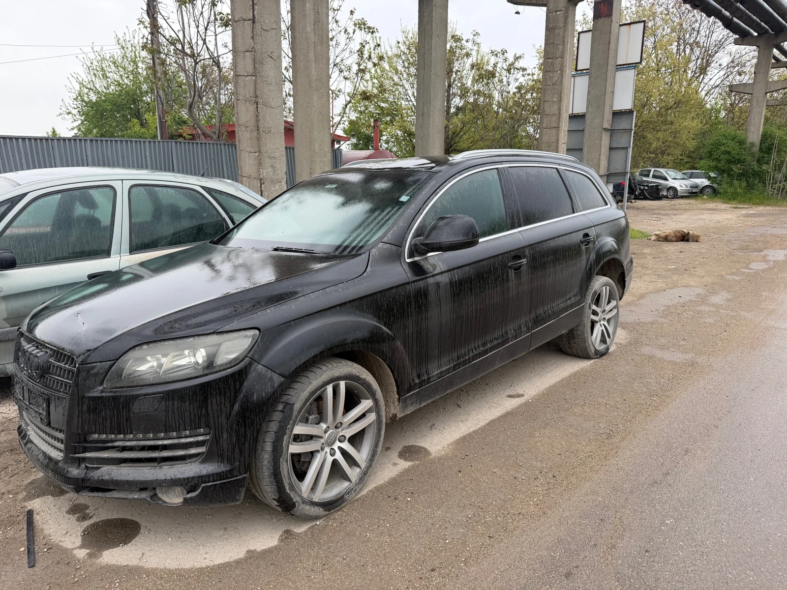 Audi Q7 3.0TDi