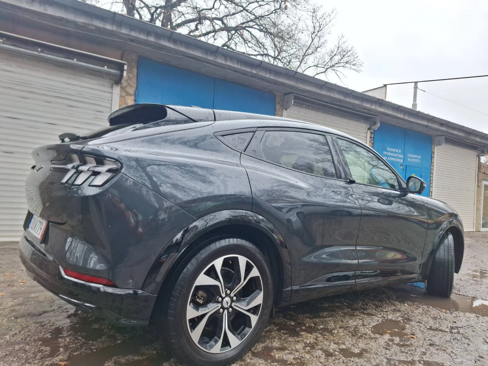 Ford Mustang Mach-E  - изображение 2