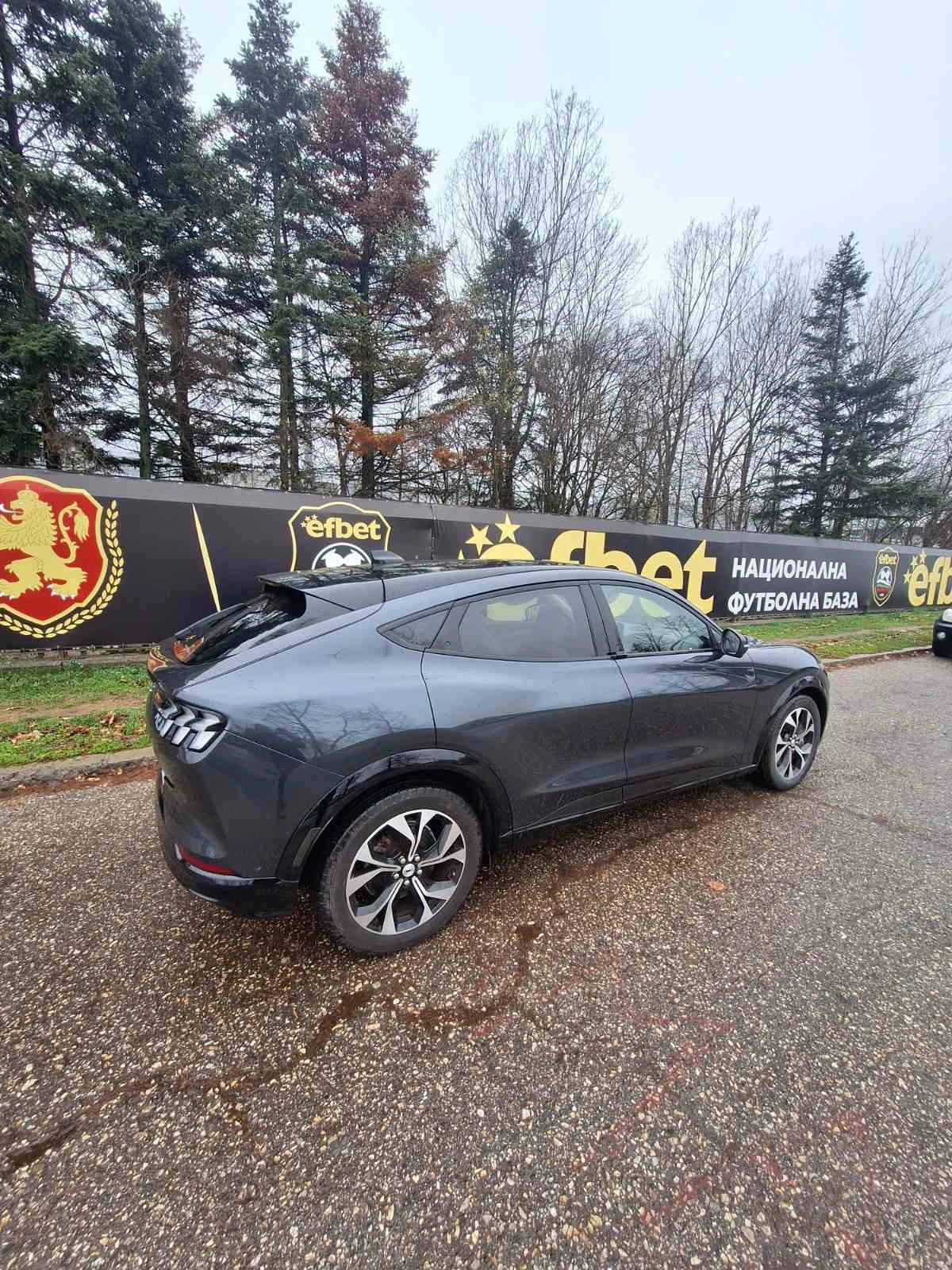 Ford Mustang Mach-E  - изображение 3