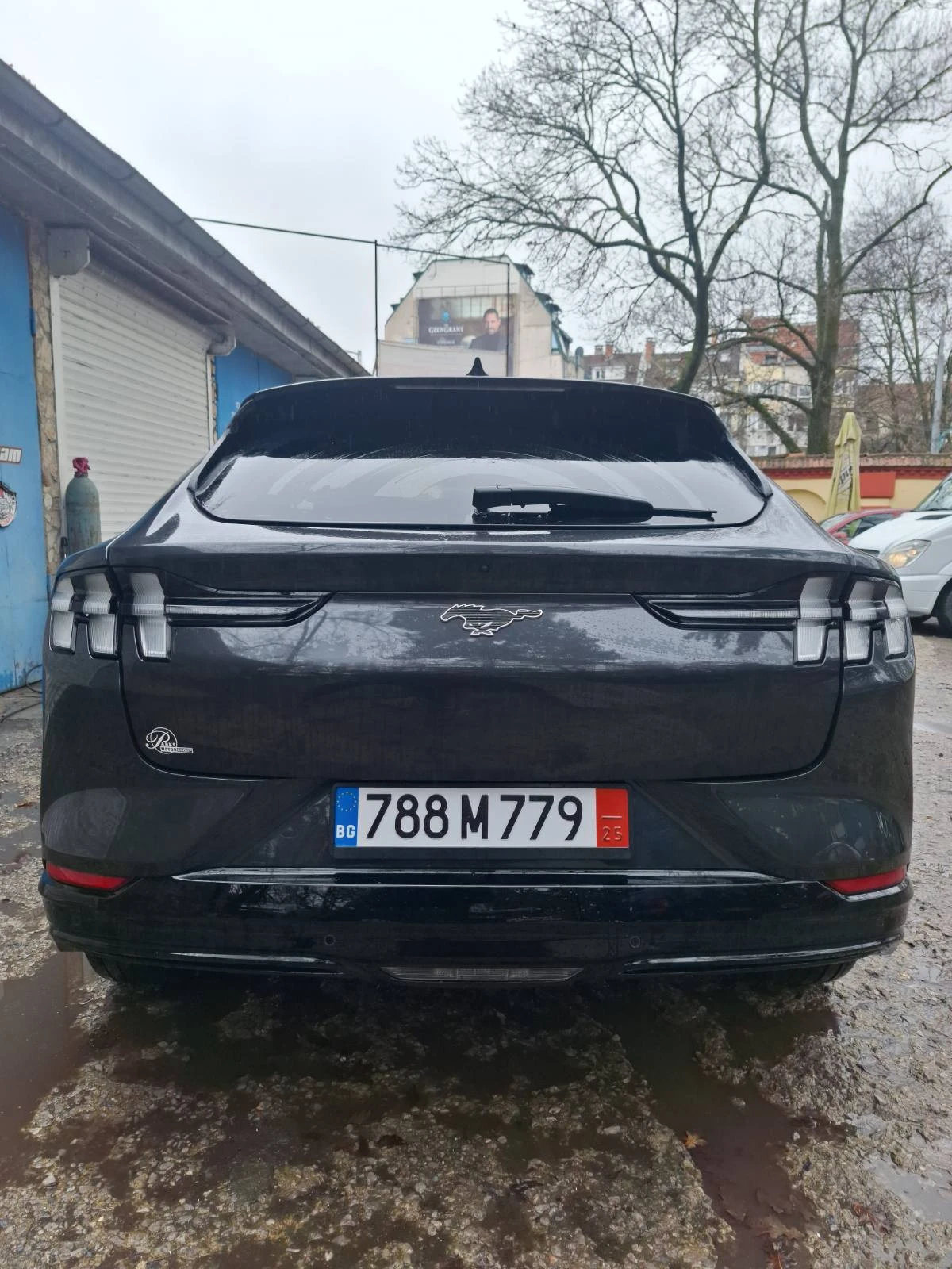 Ford Mustang Mach-E  - изображение 4